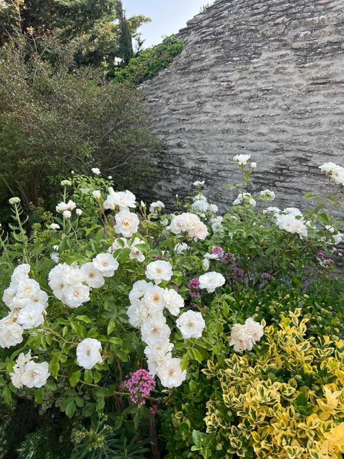 La Borie En Provence Bed & Breakfast Gordes Bagian luar foto