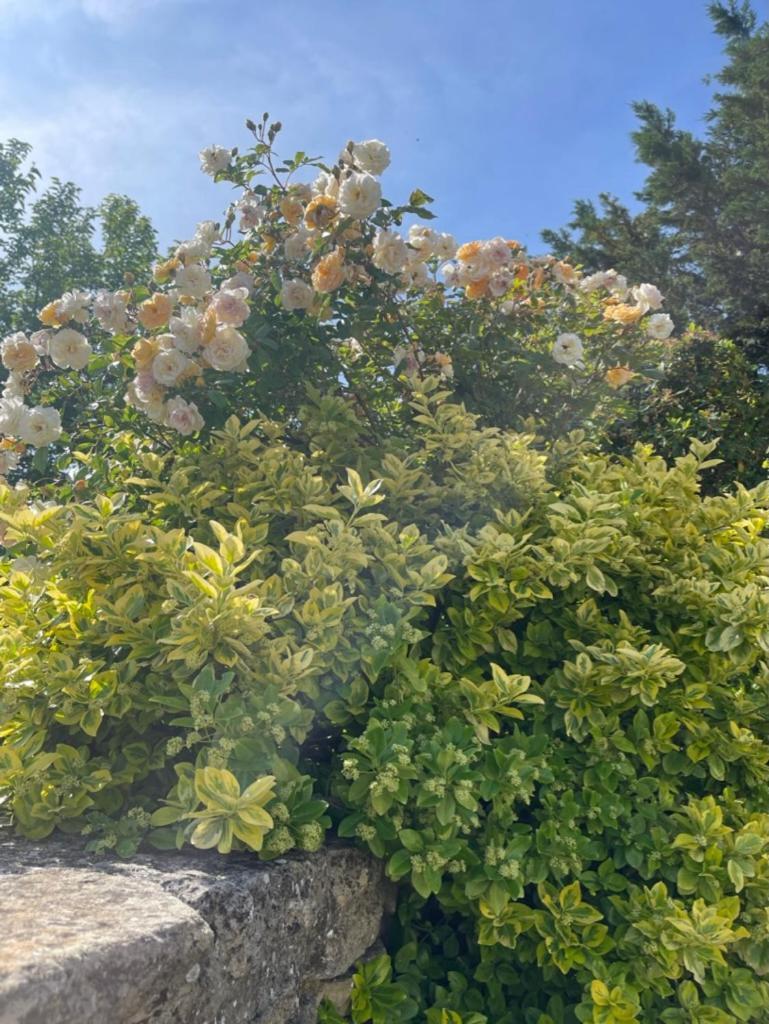La Borie En Provence Bed & Breakfast Gordes Bagian luar foto