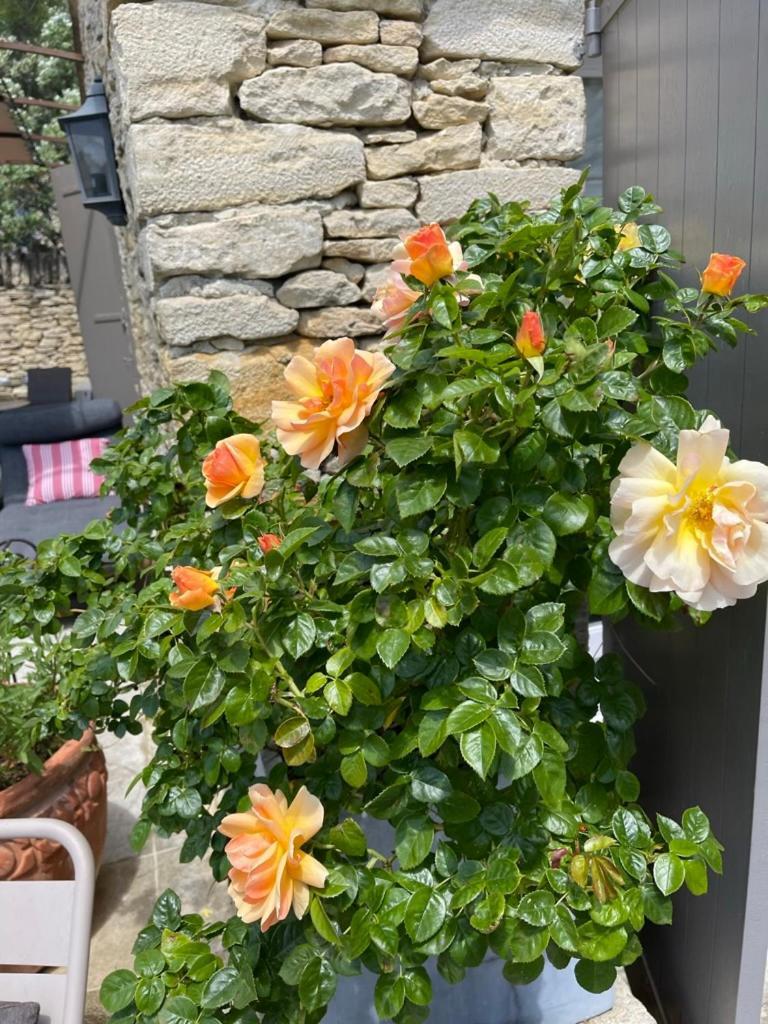 La Borie En Provence Bed & Breakfast Gordes Bagian luar foto