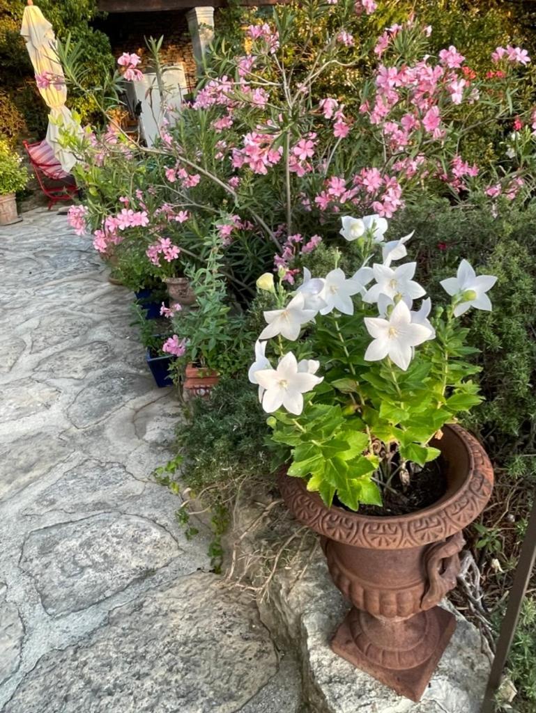 La Borie En Provence Bed & Breakfast Gordes Bagian luar foto