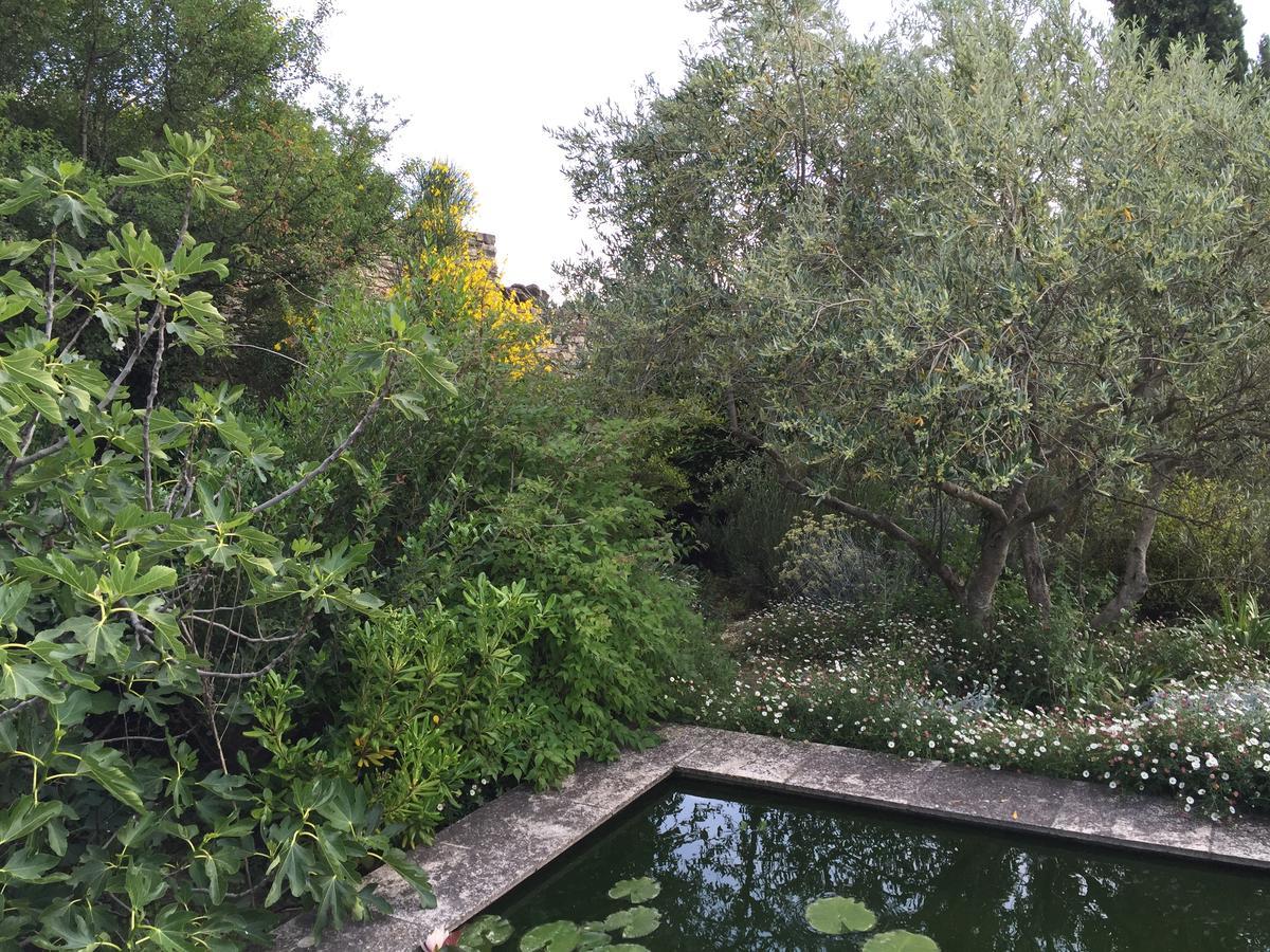 La Borie En Provence Bed & Breakfast Gordes Bagian luar foto