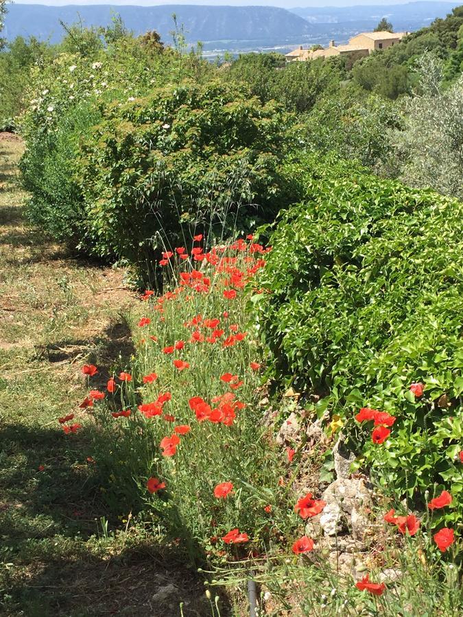 La Borie En Provence Bed & Breakfast Gordes Bagian luar foto