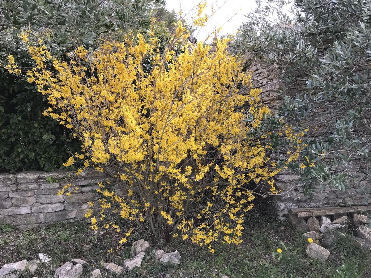 La Borie En Provence Bed & Breakfast Gordes Bagian luar foto